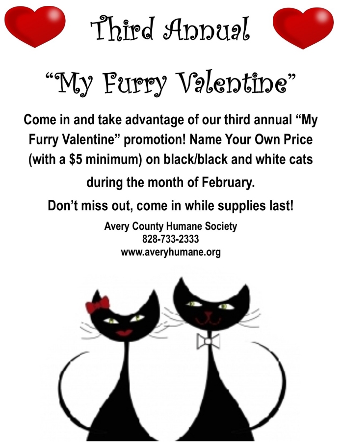 animals/Furry Valentineweb.jpg animals/Furry Valentineweb.jpg